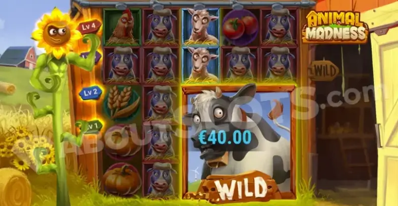 Animal Madness, Mengubah Kekacauan di Peternakan Menjadi Panen Hadiah Raksasa